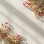 Natural Product Photography Backdrops - Image 3
