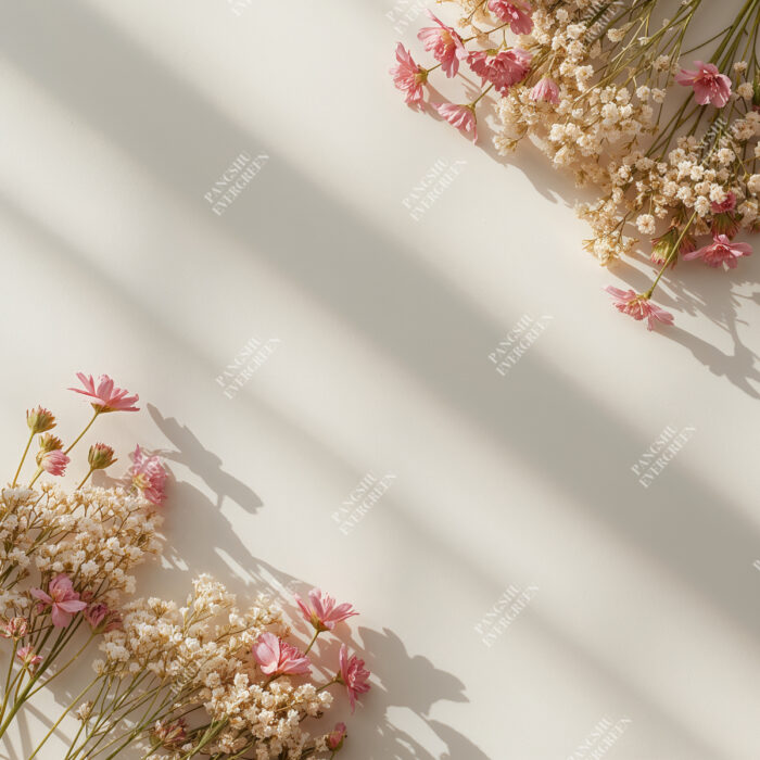 Natural Product Photography Backdrops - Image 3